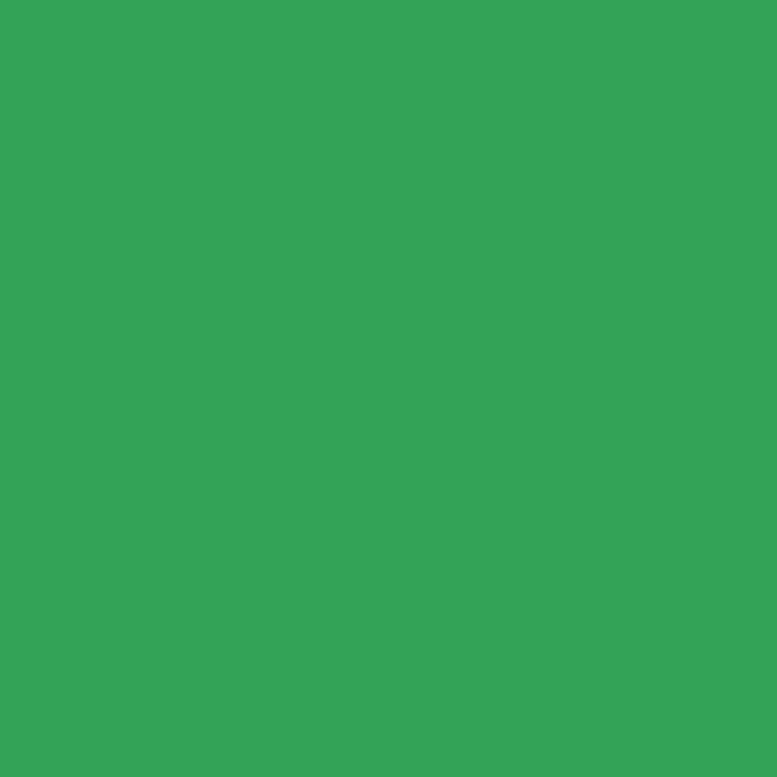 Solid Kelly Green Flannel Fabric