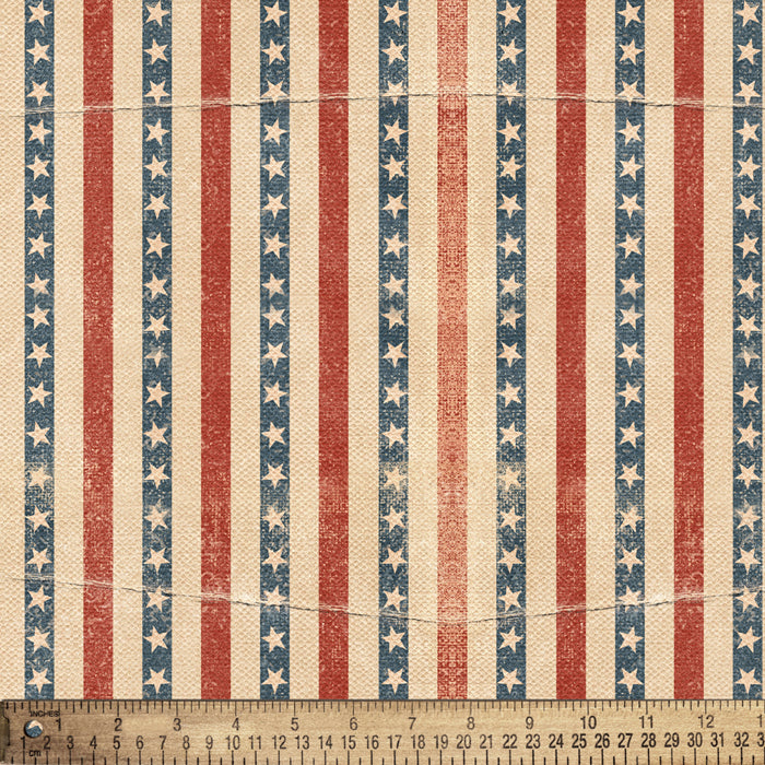 American Stars Stripes Digital Cotton Print Fabric