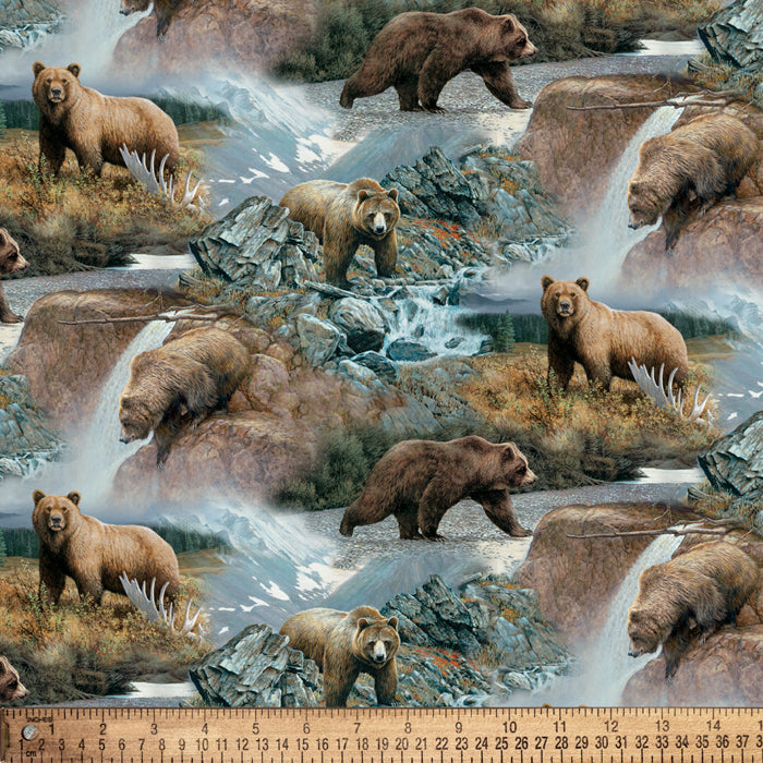Bear Cotton Fabric