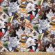 Kittens Cat Fun Cotton Fabric 