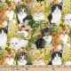 Cats & Daisies Cotton Fabric