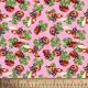Ladybugs Lucky Clovers Pink Cotton Fabric
