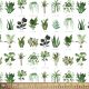 Plants Cotton Fabric