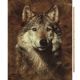 Wolf Portrait Digital Cotton Print Fabric Panel