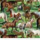 Wild Horses By Wild Wings Digital Cotton Print Fabric