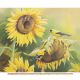 Golden Sunflowers & Finches Digital Cotton Print Fabric Panel
